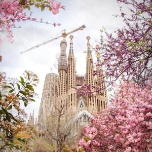 Meet your Posher, Blanch